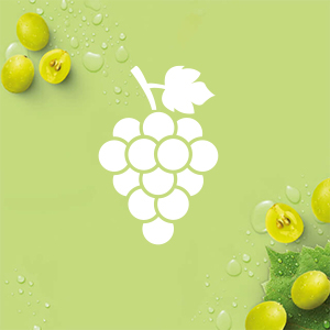 Body wash lotion soap skin care hands face moisturizing cream shower gel liquid nourishing hydration